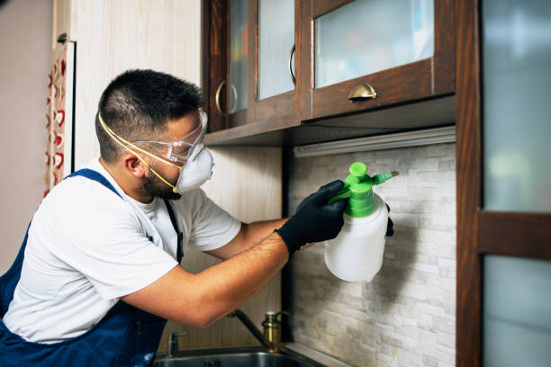 Best Mosquito Control Services  in Sheridan, OR