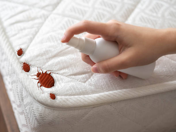 Best Pest Control for Businesses  in Sheridan, OR