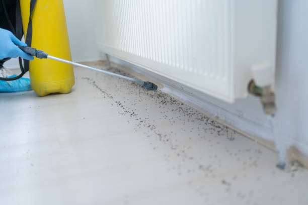 Best Commercial Pest Control Services  in Sheridan, OR